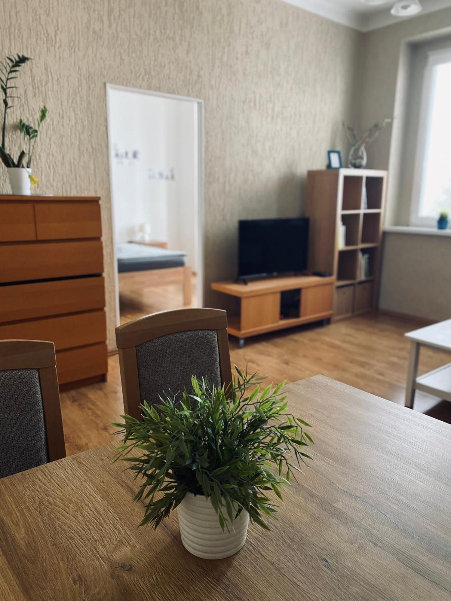 Ubytovani Stara Usti nad Labem Ngoại thất bức ảnh